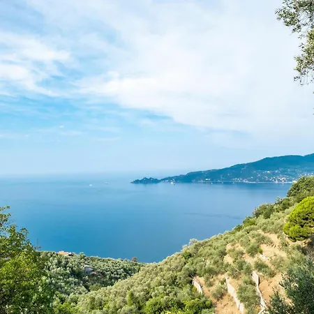 S Rocco Dimora Tra Ulivi E M * Дзоальи