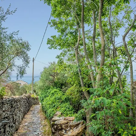 S Rocco Dimora Tra Ulivi E M * Zoagli