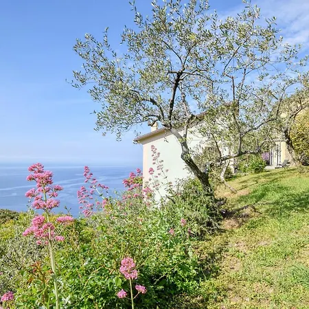 Casa de Férias S Rocco Dimora Tra Ulivi E M *